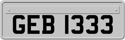 GEB1333