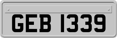 GEB1339