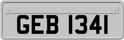 GEB1341