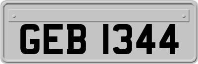 GEB1344
