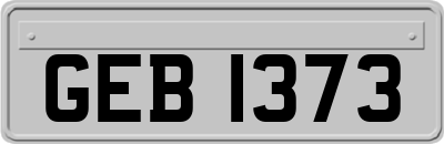 GEB1373