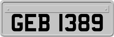 GEB1389