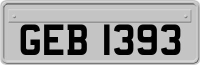 GEB1393