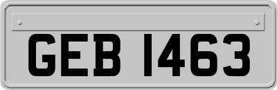 GEB1463