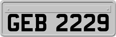 GEB2229