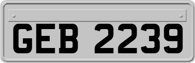 GEB2239