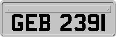 GEB2391