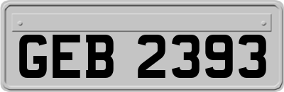 GEB2393