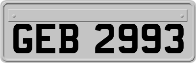 GEB2993