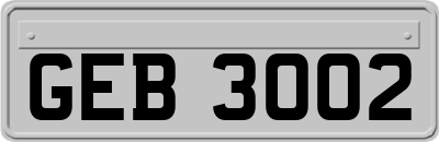 GEB3002