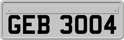 GEB3004
