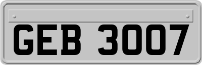GEB3007