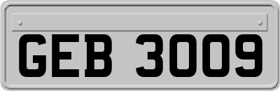 GEB3009