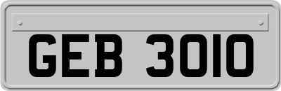 GEB3010