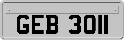 GEB3011