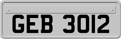 GEB3012