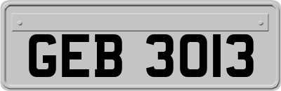GEB3013