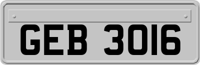 GEB3016