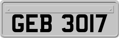 GEB3017
