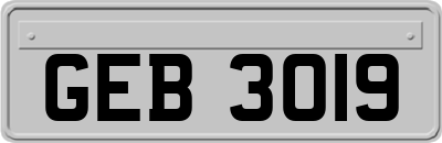 GEB3019