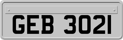 GEB3021