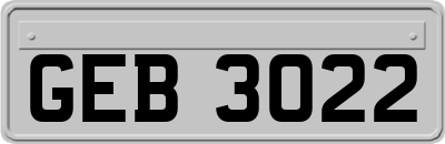 GEB3022