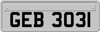 GEB3031
