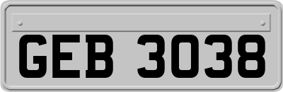 GEB3038