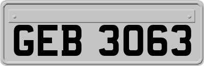 GEB3063