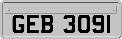 GEB3091