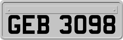 GEB3098