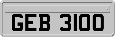 GEB3100