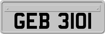 GEB3101