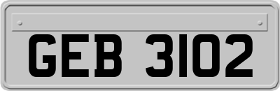 GEB3102