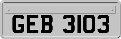 GEB3103