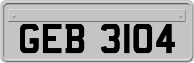 GEB3104