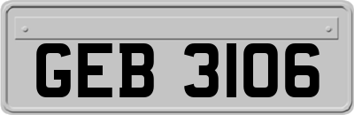 GEB3106