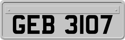 GEB3107