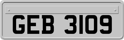 GEB3109
