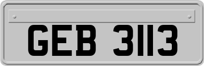 GEB3113
