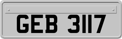 GEB3117