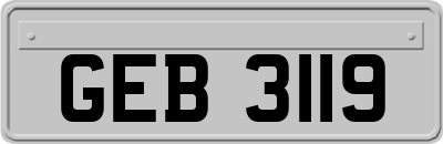 GEB3119