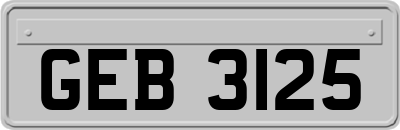 GEB3125
