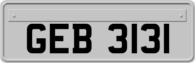 GEB3131