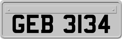 GEB3134