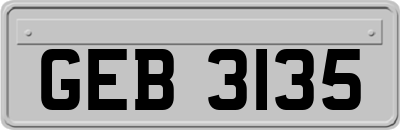 GEB3135