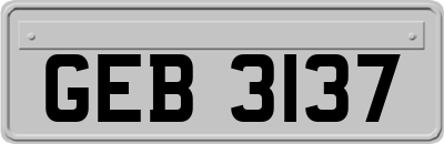 GEB3137