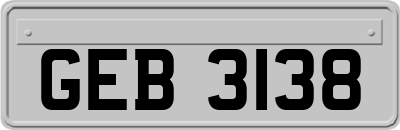 GEB3138