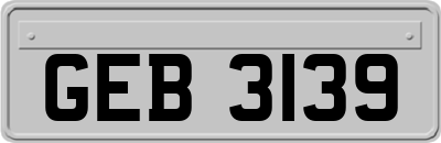 GEB3139