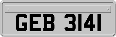 GEB3141